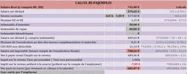 Calcul _pajemploi.JPG