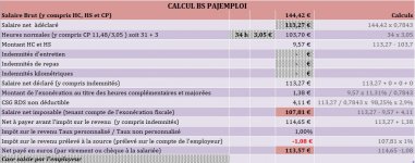 Calcul _pajemploi_CYL.jpg