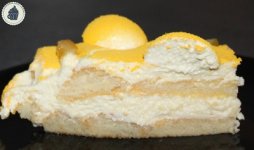 TIRAMISU CITRON 8.JPG