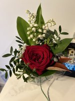 IMG_5184.jpeg